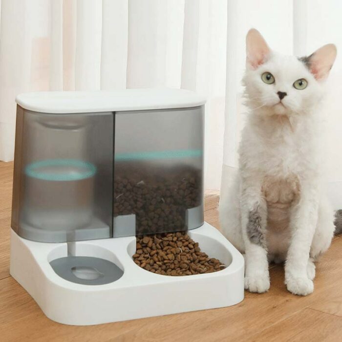 Pet Cat Automatic Drinking Water Feeder Large Capacity Water Dispenser Dry And Wet Separation Transparent Visual Feeder Dog Bowl 5