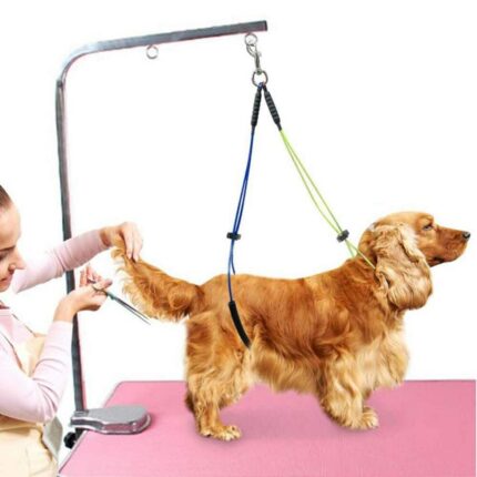 Dog Grooming Loop Dual No-Sit Haunch Holder Cat Grooming Stainless Steel Wire Rope Restraint Noose for Pet Grooming Table Arm 2