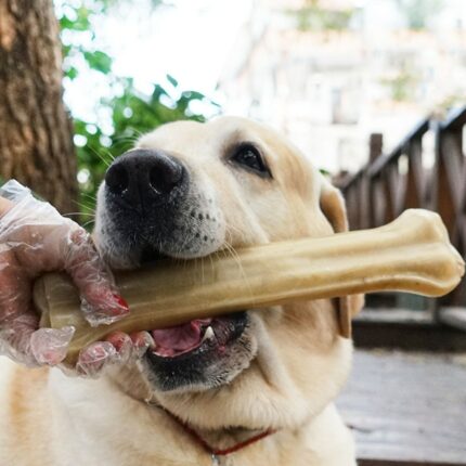 Dog Toys Bones Natural Pet Chew Toothbrush Small Large Dogs Cowhide Treats Puppy Chewing Bone Toys For Dental Care Accessories 1