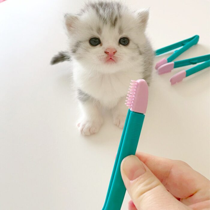 Plastic Eyes Poo Brush Buckle Design Handheld Tear Stain Brush Cleaning Tools Kitten Eye Wipe Rub Reusable Pet Products 4