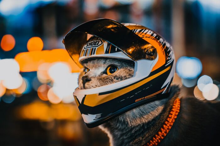 Pet Helmets,Cat Helmet,Dog Helmet-Outdoor Mini Head Protecting Safe Hat,Motorcycle Helmet Decorative,Pet Photo Props Accessorie 6