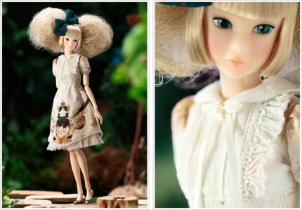 Petworks 1/6doll CCS PW-momoko ae 1