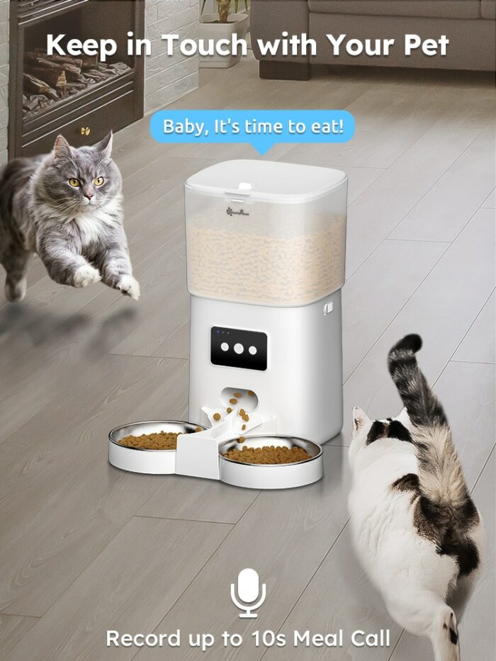 DownyPaws 6L Automatic Pet Feeder Cat Food Dispenser WiFi APP Control For Cats Dogs Pet Dry Food Accesories Stainless Steel Bowl 5