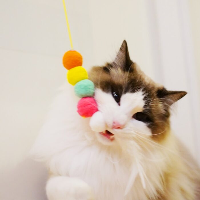 HOOPET Simulation Caterpillar Cat Toy Hanging Automatic Interactive Rope Mouse Toy for Cats Self-hey Teaser Wand Pet Supplies 4