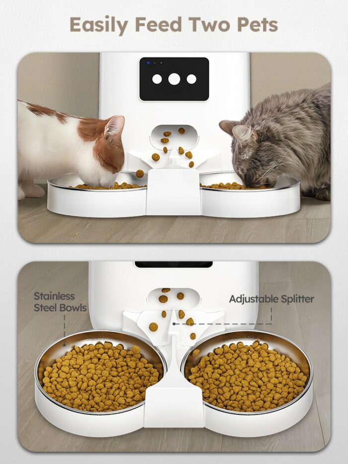 DownyPaws 6L Automatic Pet Feeder Cat Food Dispenser WiFi APP Control For Cats Dogs Pet Dry Food Accesories Stainless Steel Bowl 3