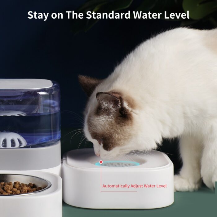 MADDEN Dogs Automatic Feeder 3 IN 1 Cat Bowls Water Fountain Indoor Kitten Feeding Drinker Filter Capacity Pet Feeding Container 3