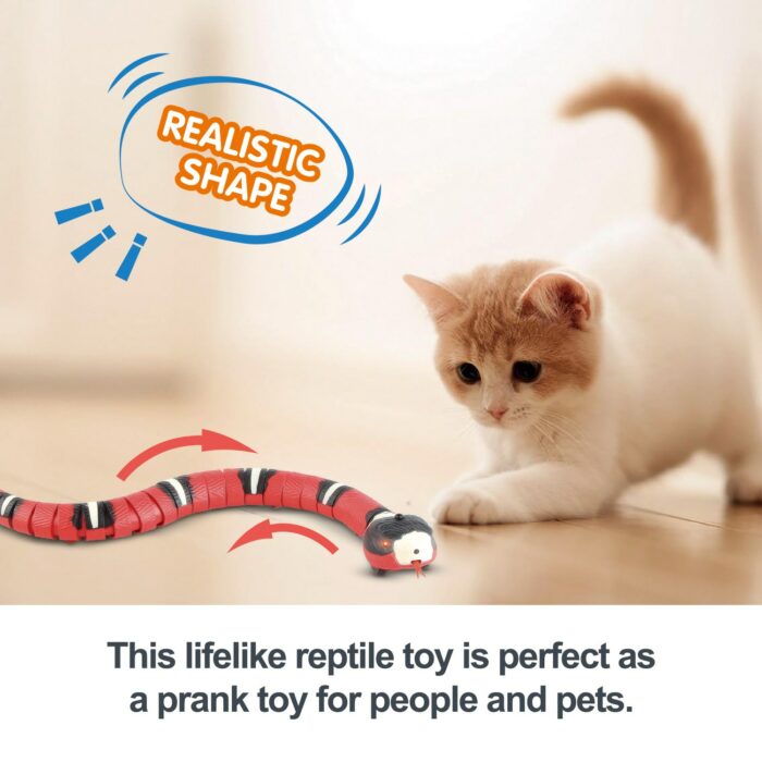 Smart Sensing Snake Automatic Electric Cat Toys USB Charging Pet Interactive Toys Dogs Game Play Toy Cat Accessories 5