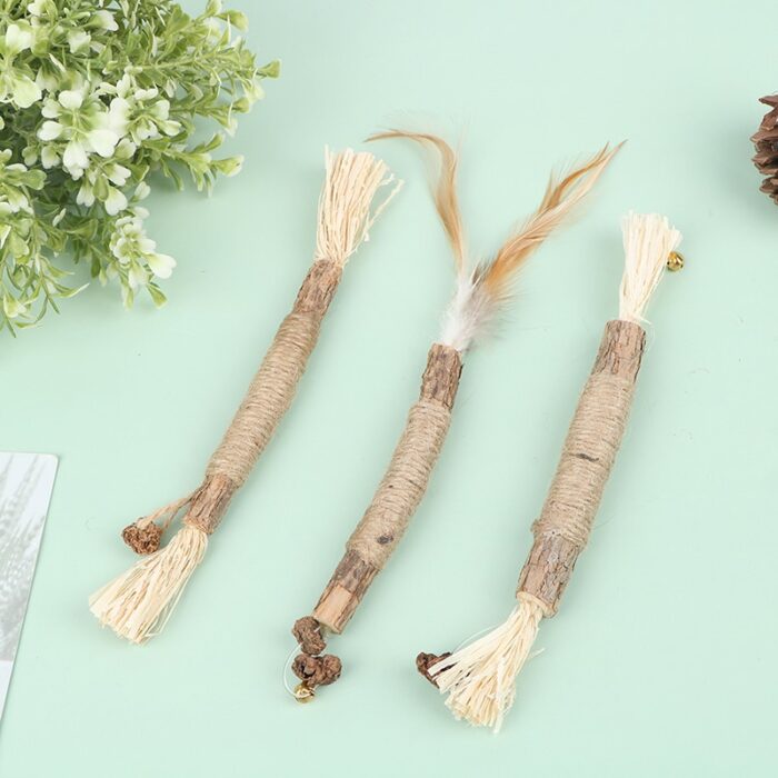 Cat Catnip Stick Kitty Chew Treat Toy Insect Gall Fruit With Matatabi Stick Cleaning Teeth Dental Snack For Indoor Exercise 20CM 3