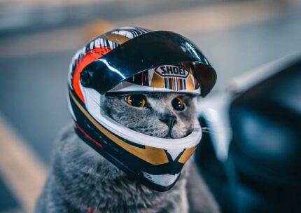 Pet Helmets,Cat Helmet,Dog Helmet-Outdoor Mini Head Protecting Safe Hat,Motorcycle Helmet Decorative,Pet Photo Props Accessorie 1