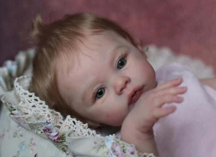 49CM Newborn Baby Girl Reborn Doll Meadow Soft Cuddly Body Lifelike Soft Touch 3D Skin with Visible Veins Art Doll 3