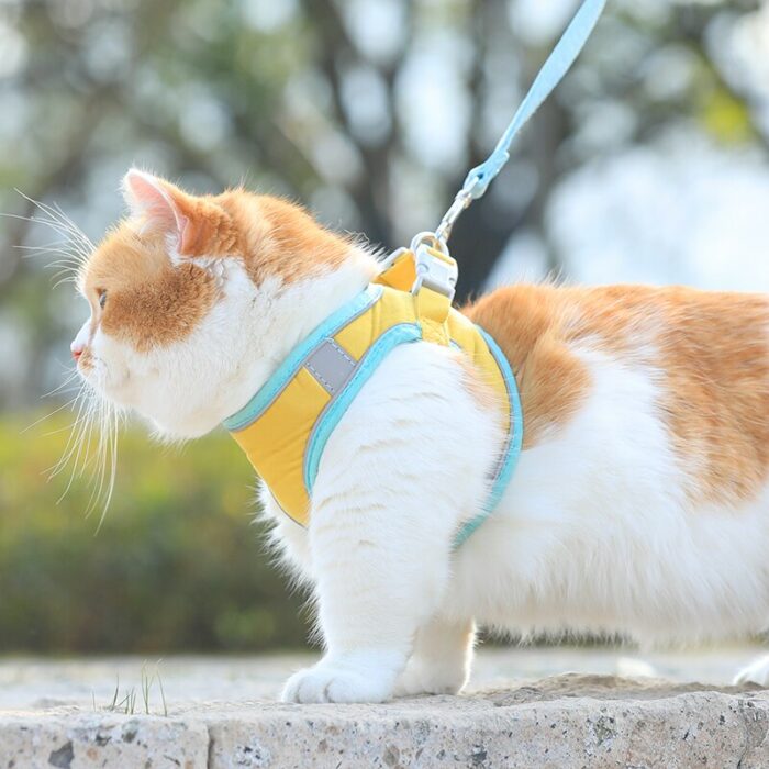 HOOPET Outdoor Cat Leash Vest Mesh Breathe Adjustable Harnesses for Cats Harness Chest Braces Leads Vest Cat Waterproof Collar 2