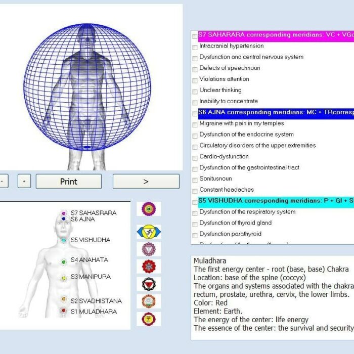 12D NLS CELL NLS AURA CHAKRA IRIS Scanner Sub Body Analyzer NON LINEAR Analyser Bio Analysis Quantum Bioresonance 3