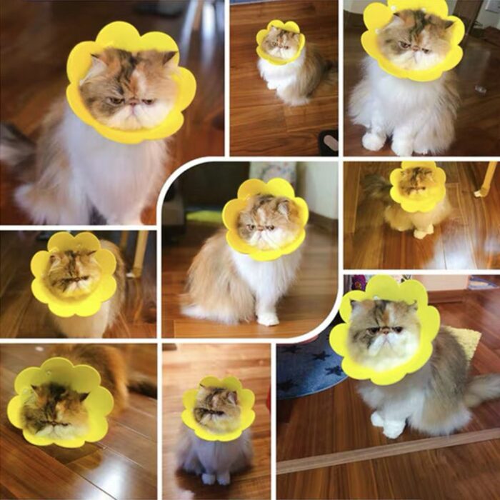 1 Piece Sunflower Cat Elizabeth Collar Anti Bite Protect Bath Photo Large Medium Cat Collar Light Soft Pet Small Dog 6